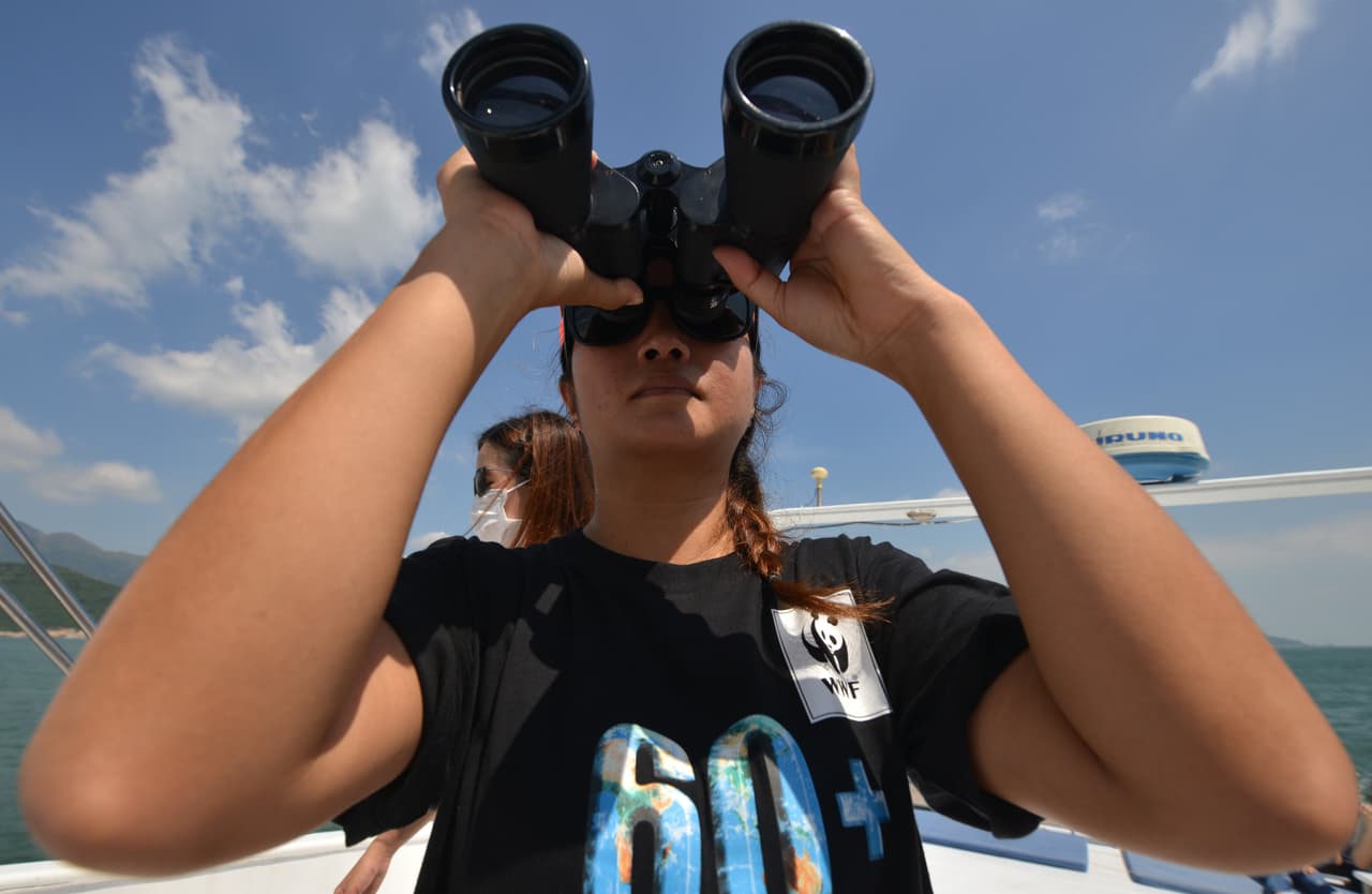 El delta del río Pearl es una de las zonas costeras más industrializadas de la Tierra. Además de Hong Kong y Macao, incluye megaciudades de
<a href="https://www.univision.com/temas/china">China</a> continental como Shenzhen, Guangzhou y Dongguan, y alberga a unos 22 millones de personas.
<b>Y además del intenso tráfico marítimo, el hábitat clave de los delfines ha sido objeto de una serie de desarrollos a gran escala</b>, incluida la construcción del aeropuerto de Hong Kong en tierras recuperadas y el puente marítimo más largo del mundo que conecta el centro financiero con Macao y Zhuhai.
<br>