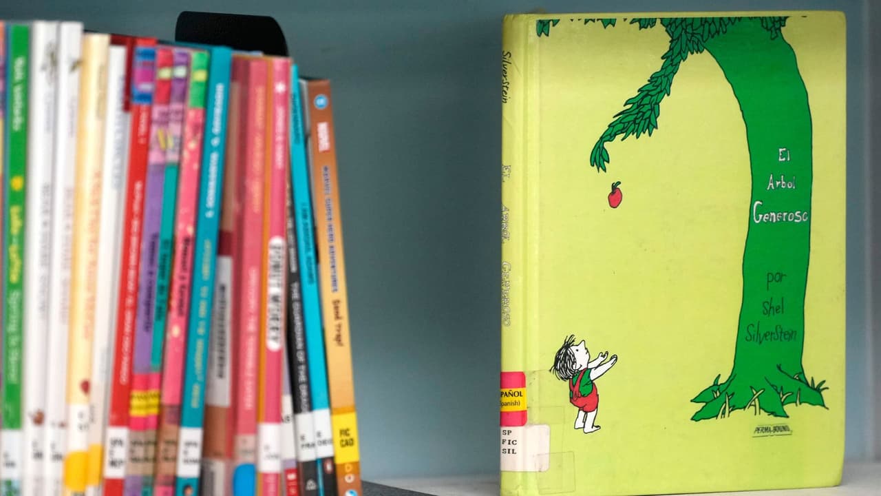 Distrito escolar de Florida analiza retirar libros de ficción de sus bibliotecas