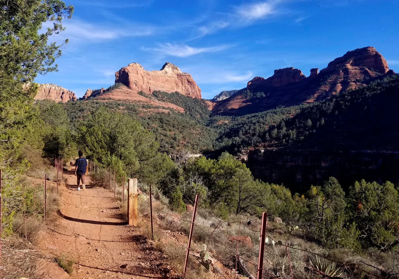 Hallan a un hombre viviendo en bosque nacional de Arizona entre 1,000 libras de basura. ¿Cuántos años estuvo ahí?