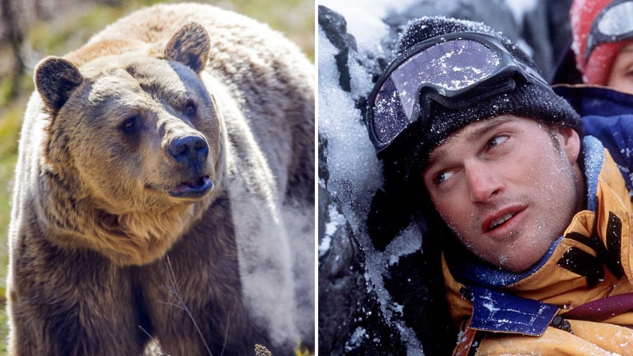 Hombre pelea contra un oso y lo capta en video: “No tenía más remedio que enfrentarlo”