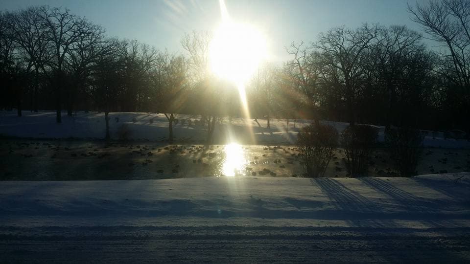 Usuarios de Univision Chicago comparten fotos de la ola gélida que se vive en la ciudad.