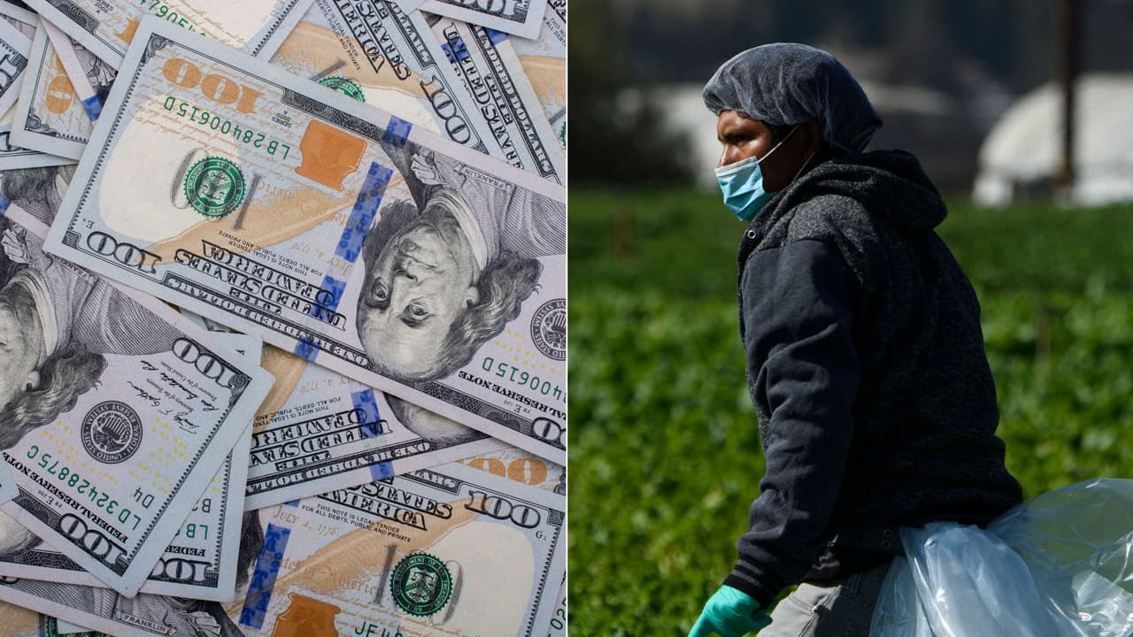 ¿Tienes una tarjeta de $600 de ayuda para trabajadores agrícolas en California? Podrías perder tu dinero