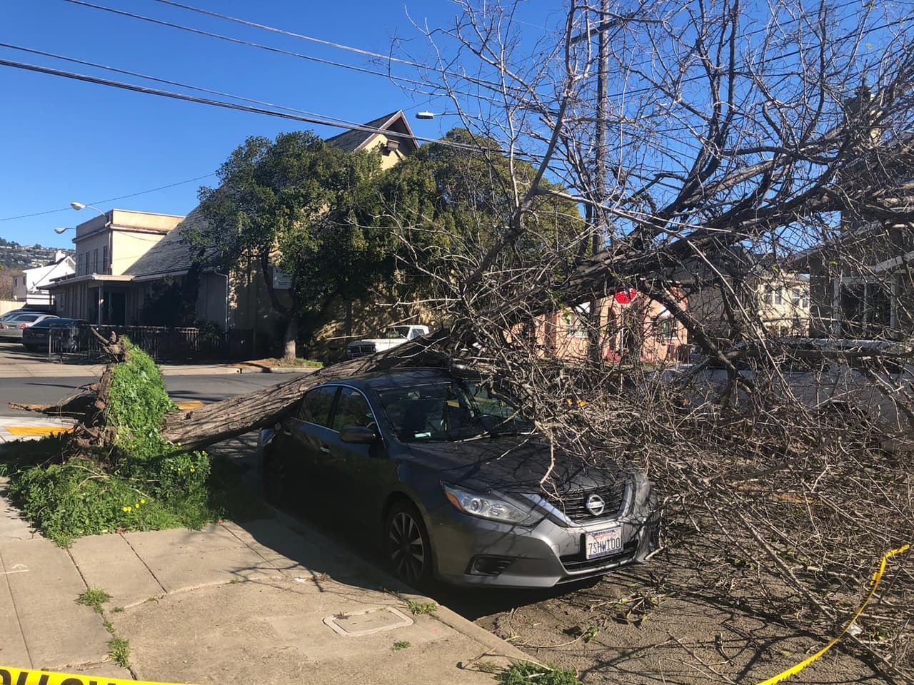 En otra parte de Oakland, un árbol caído dañó un automóvil estacionado y cerró la circulación sobre Penniman Avenue, en su cruce con 35th Avenue.