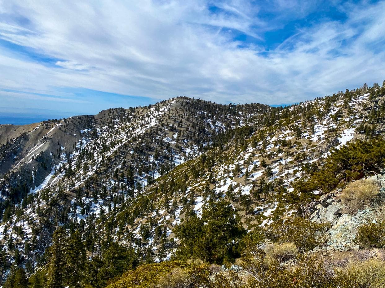 El costo-beneficio lo experimentarás casi de inmediato. Solo necesitas disposición.
<br>
<br>