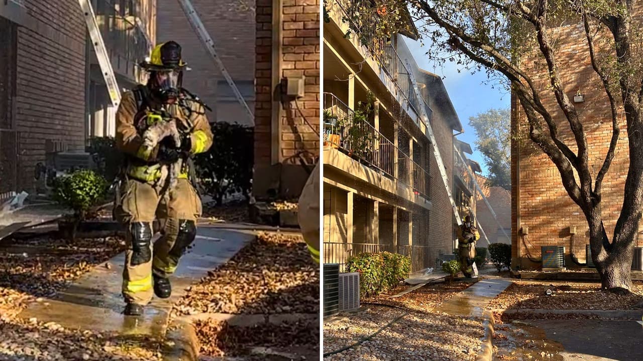 <b>Un total de 24 unidades resultaron afectadas, y el fuego dañó una zona de utilidades clave, incluyendo cables y plomería</b>. Debido a los daños, estas unidades no podrán ser habitadas hasta que el complejo de apartamentos resuelva los problemas estructurales.
<b>Se estima que el daño a la estructura asciende a 1.2 millones de dólares, mientras que los daños al contenido fueron de aproximadamente 50,000 dólares.</b>