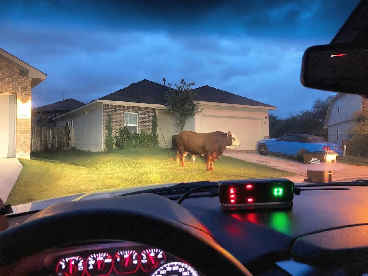 Oficial responde a llamada de emergencia y se encuentra con enorme sorpresa