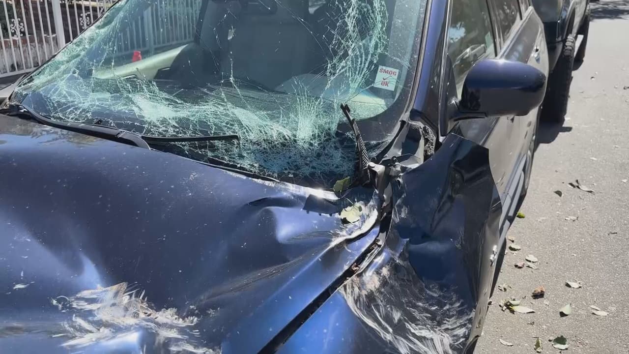 Una de las primeras ráfagas de viento de la mañana derribó un árbol de gran tamaño que cayó sobre un automóvil en Santa Ana. El dueño del vehículo contó que escuchó un fuerte ruido y, al salir, encontró el árbol encima de su auto. No se reportaron personas lesionadas.