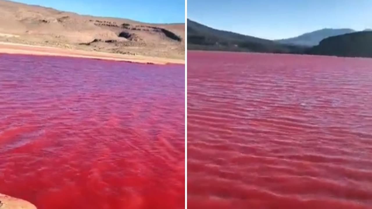 Supuesto Río Nilo teñido de rojo sangre desata pánico en redes sociales.