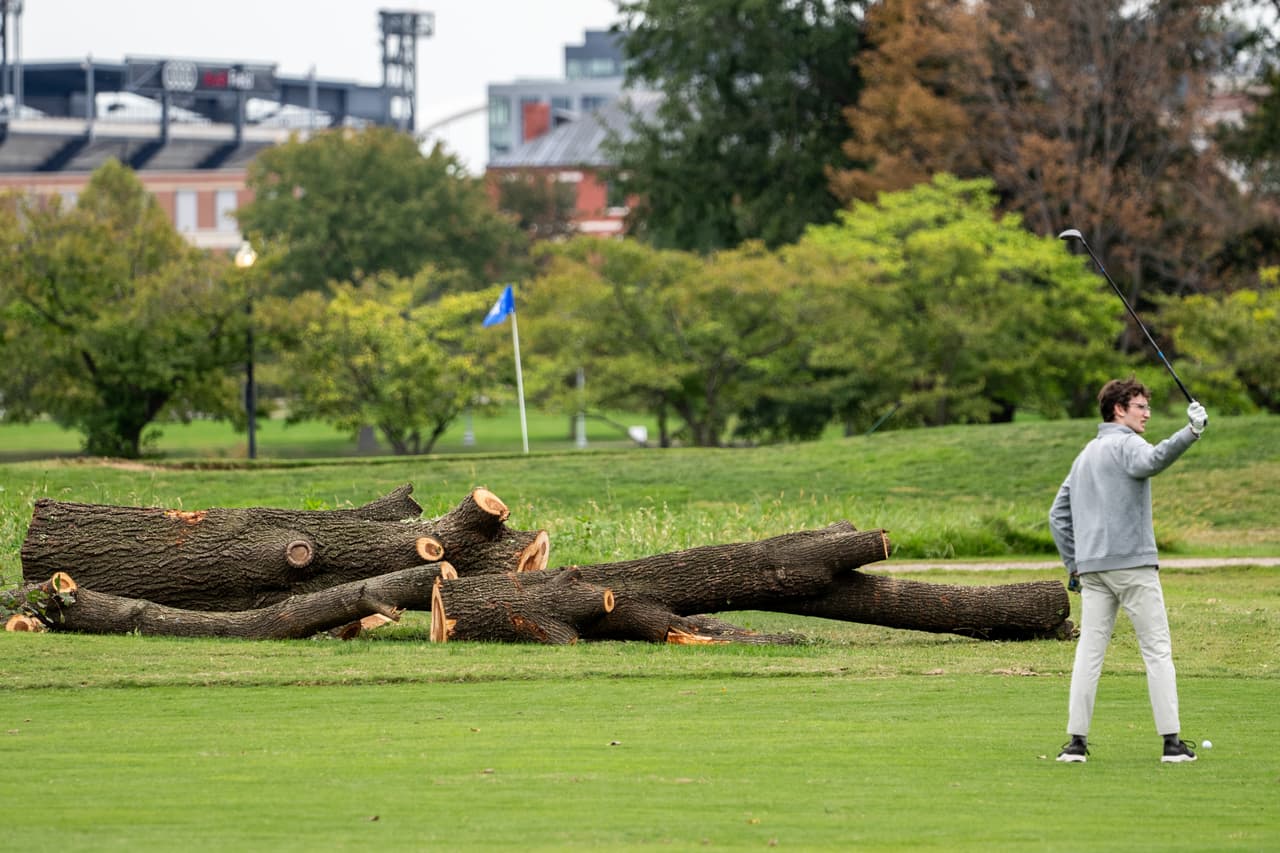 El Servicio de Parques podría retirar más de 500 árboles de un histórico campo de golf que Trump quiere rediseñar