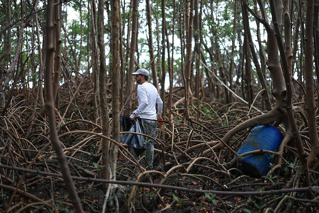 Andrew Otazo afirma que tiene ocho años limpiando los manglares.