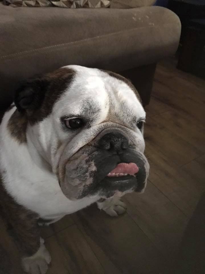 "De mi hija se llama Koko" - Paula Alvarez Curiel