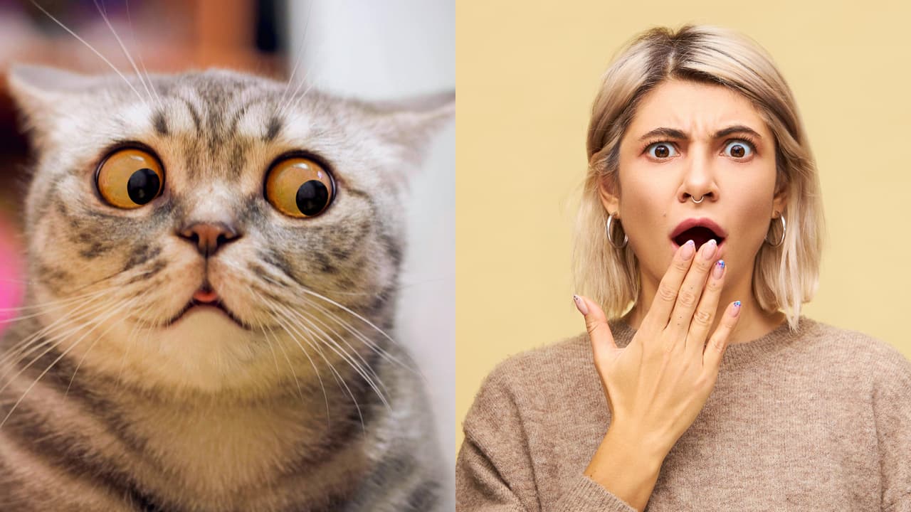 Se esconden de su esposa e hijos.
<br>