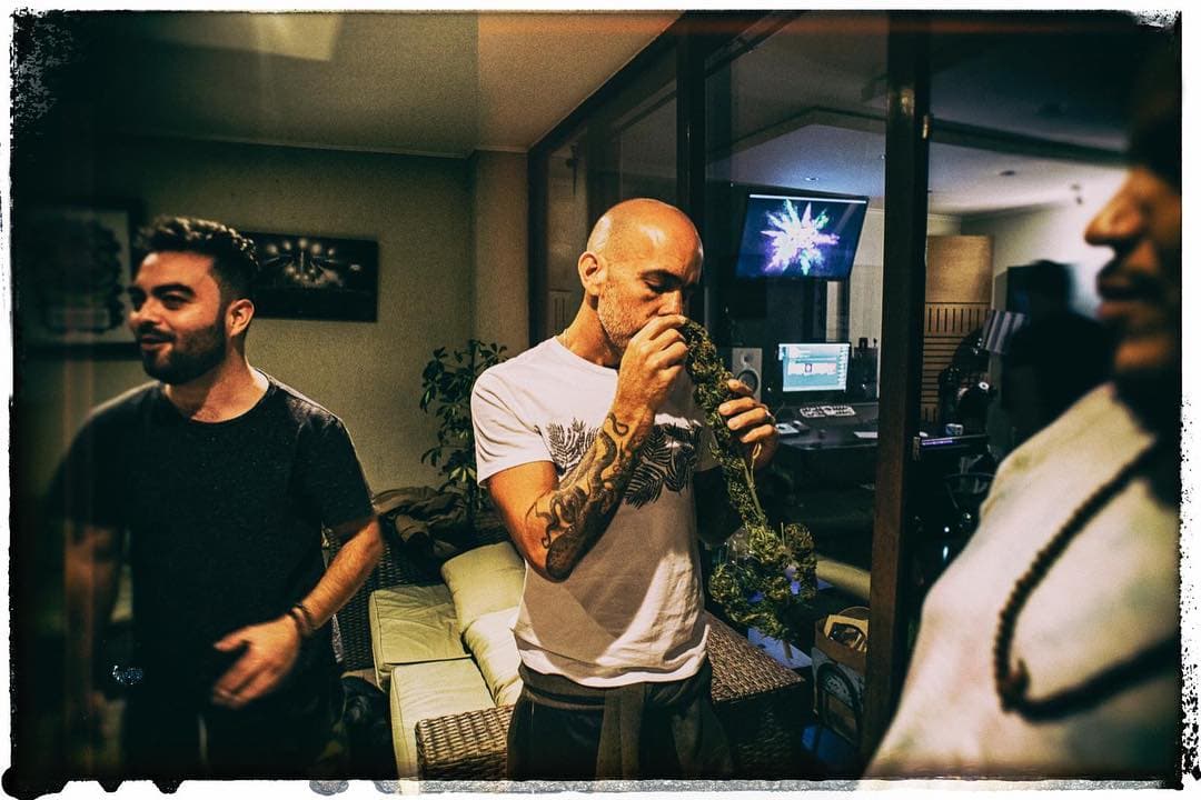 <b>Cultura Profética</b>, la reconocida banda puertorriqueña, le cantó a la marihuana con '
<b><a href="https://www.youtube.com/watch?v=ilFRysXKwRE" target="_blank">Saca, prende y sorprende</a></b>'.