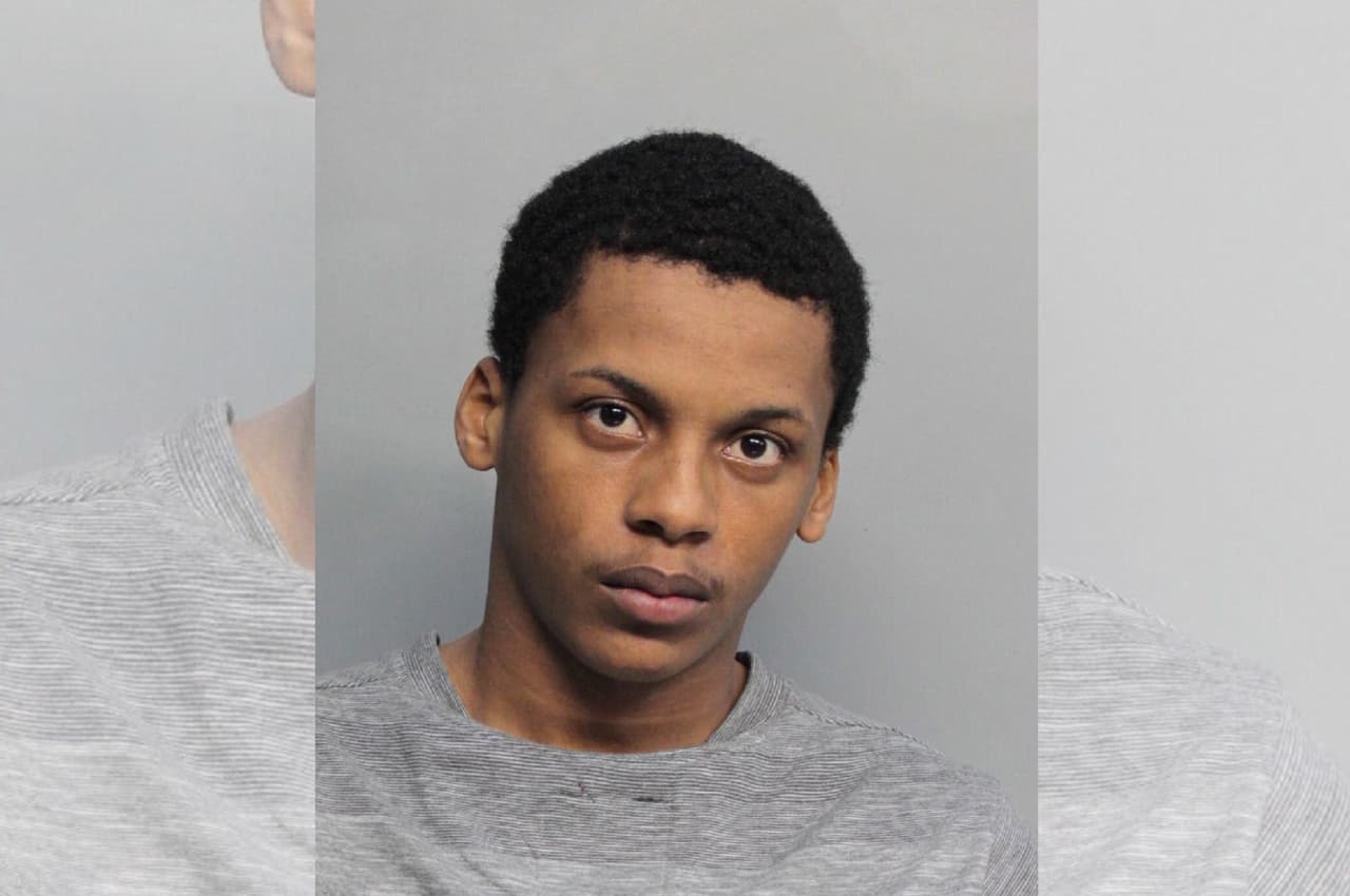 La lista de tareas de este adolescente incluía el robo de tarjetas de crédito; ahora ha sido condenado por fraude millonario