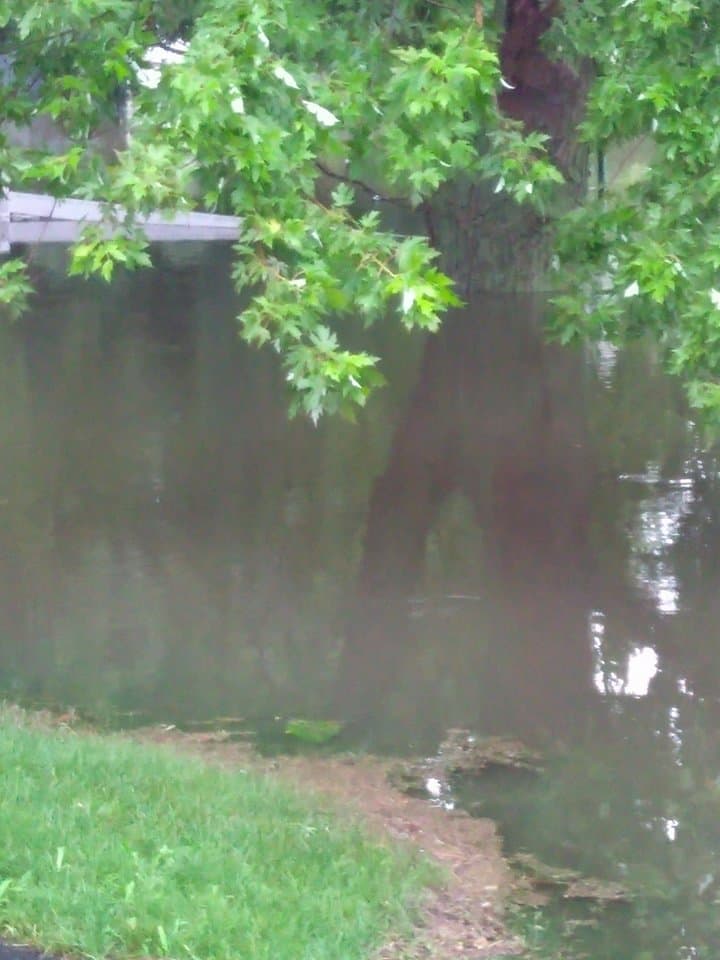 En caso de que tengas que dejar tu hogar, enlista los sitios que han sido habilitados como albergues, y trasladate a ellos.