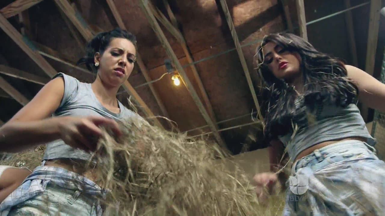 La verdad, estuvo un poco complejo buscar las llaves, pero no imposible.