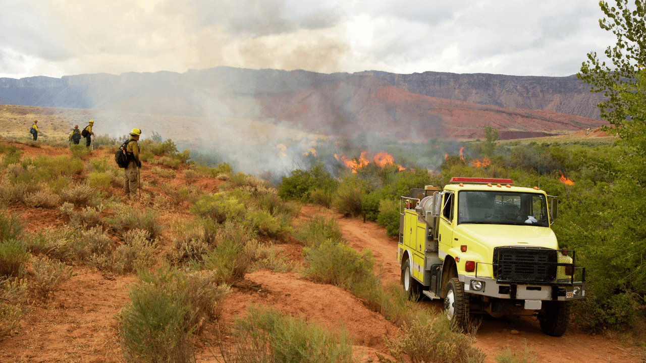<h2 class="cms-H2-H2">Prepárate para una evacuación</h2>
<br>
<br>- Mantén listo tu kit de emergencias.
<br>- Prepara con anticipación tu auto con las cosas importantes que te llevarás.
<br>- Asegúrate de conocer las mejores rutas de evacuación de tu localidad.
<br>- Prevé el lugar en el que te refugiarás, puede ser la casa de un amigo o familiar, o un refugio.
<br>- Usa ropa adecuada, de preferencia prendas de algodón, calzado cómodo y cubrebocas o pañuelos para cubrir tu boca
<br>- Cierra todas las puertas y ventanas de tu casa, pero déjalas sin cerrojo.
<br>- Quita las cortinas de las ventanas, así no podrán incendiarse y facilitarás la vista hacia el interior en caso de que lo necesiten los cuerpos de auxilio.
<br>- Mueve los muebles hacia el centro de las habitaciones, lejos de puertas y ventanas.
<br>- Cierra las tomas de gas.
<br>- Deja las luces de tu casa encendidas, así los cuerpos de auxilio podrán ver en caso de que las habitaciones estén llenas de humo.