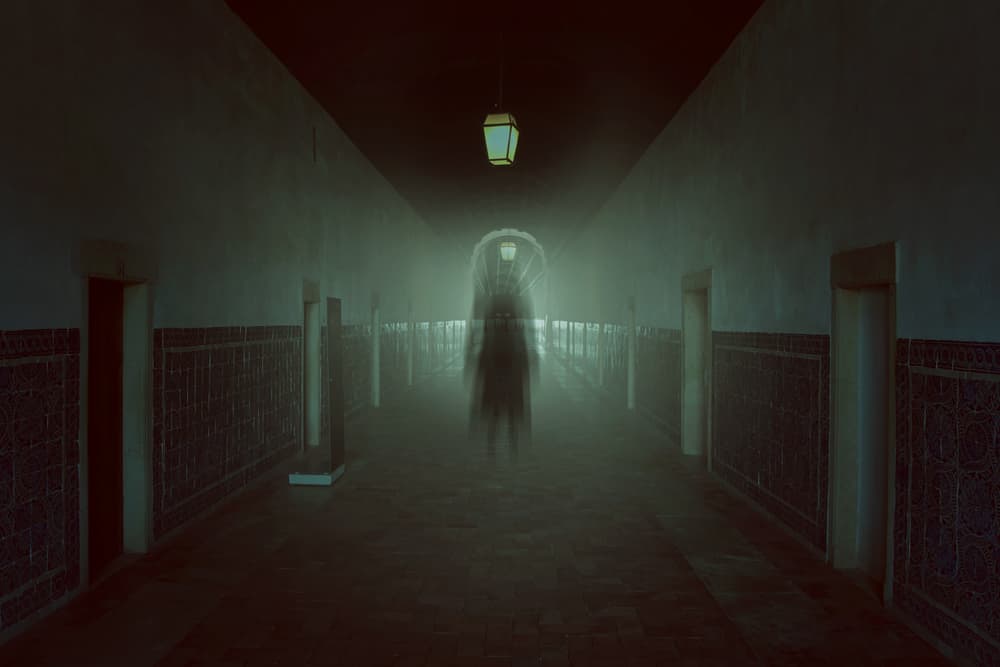 Un fantasma se define como el alma o espíritu de una persona o animal que se manifiesta de distintas maneras en el mundo terrenal. Las descripciones de fantasmas varían ampliamente, se han descrito desde presencias invisibles hasta apariciones de aspecto realista y que podrían pasar como personas o animales vivos.