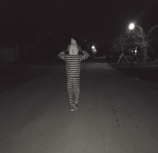 El conductor y juez de Mira Quién Baila salió a las calles a pasear por primera vez con esta pequeñita disfrazada.