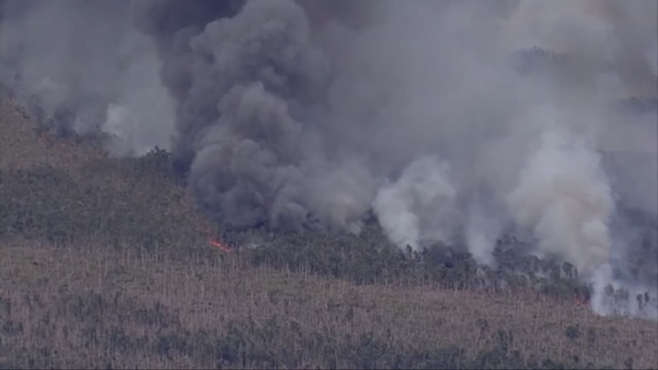 Incendio de maleza consume más de 600 acres: residentes de Doral y Hialeah afectados