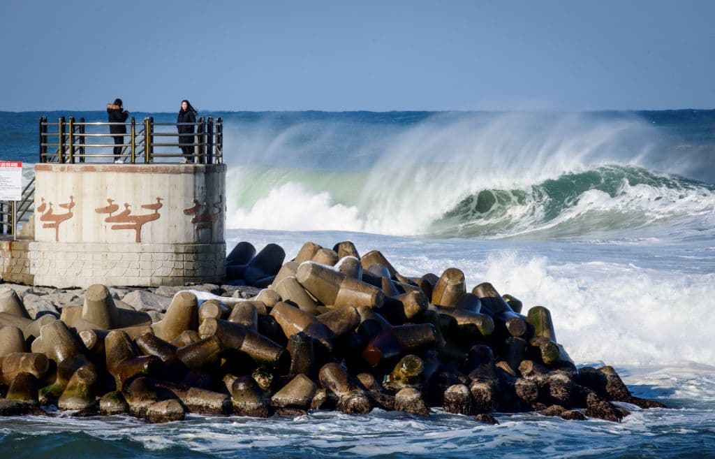 Nueva falsa alarma: envían por error una alerta de tsunami para la Costa Este de EEUU