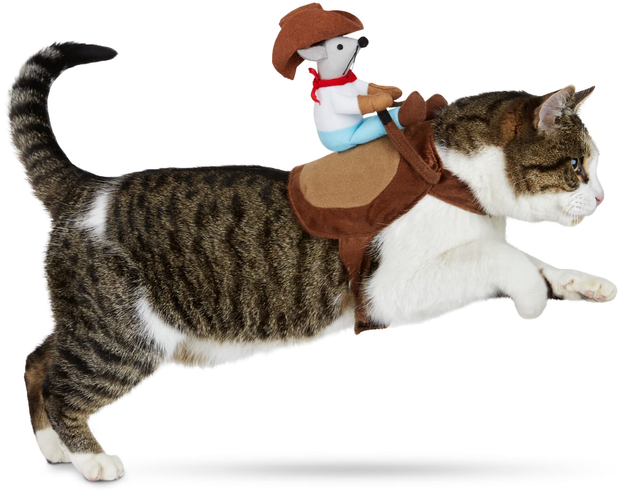 Esta es otra manera de traer al ratón vaquero sobre tu minino.