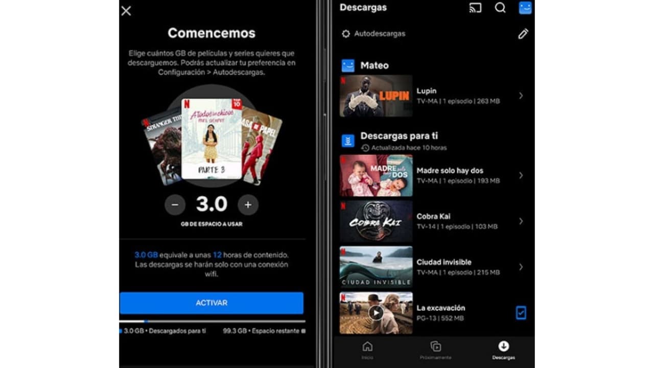 Vista previa de la sección 'Autodescarga'