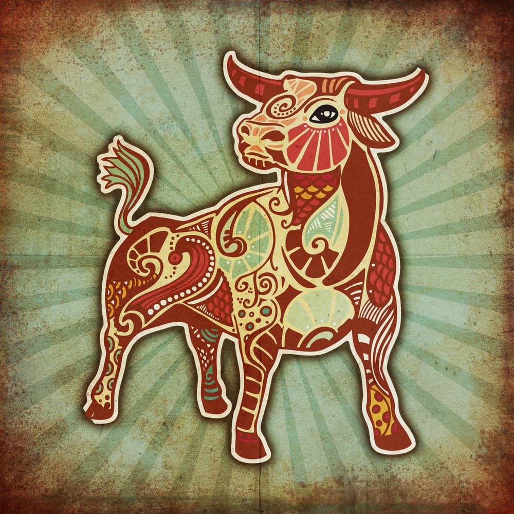 Aunque a veces pueden parecer serios y fríos, en realidad tienen un encantador sentido del humor. Hazles entrar en confianza, hazles reír ¡y no pararán!