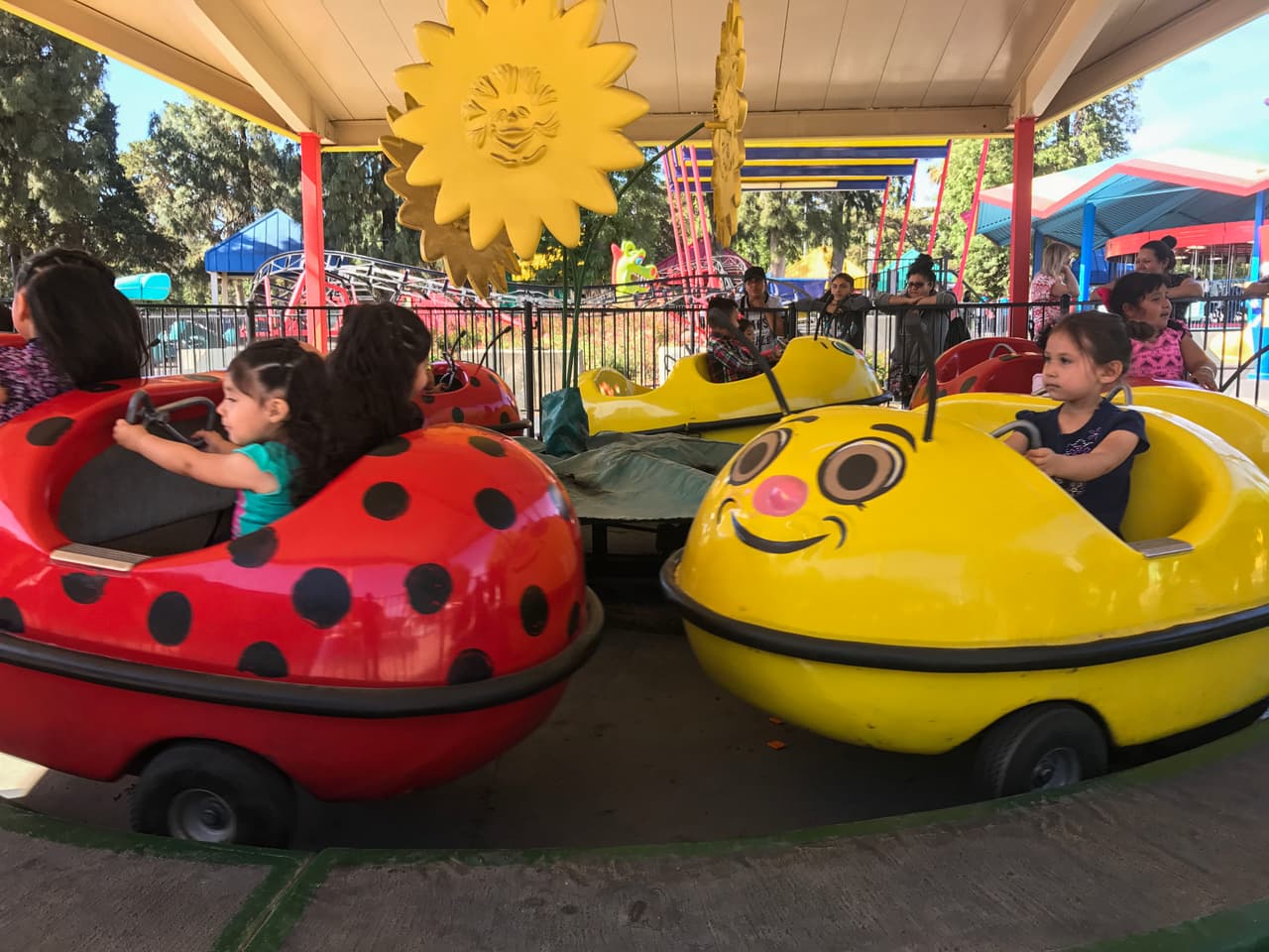 El show de aves fue uno de los favoritos durante el Festival de los Niños 2017