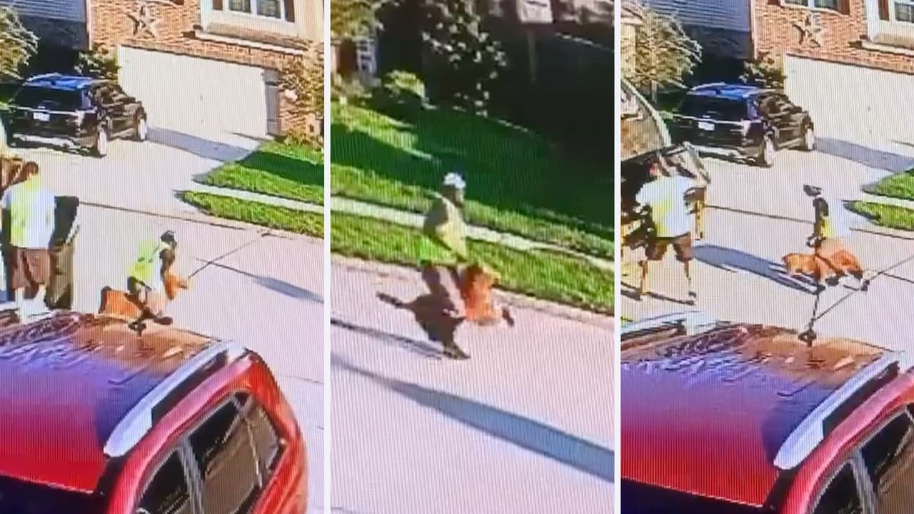 “Le dio su última montada con honor”: recolector de basura monta a caballito con mucho estilo