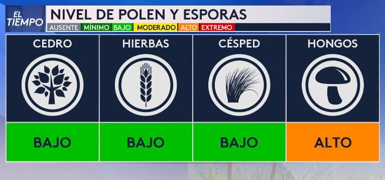 Los hongos están presentes en altos niveles.