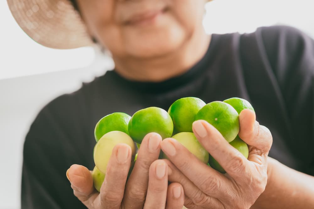 Otro buen tip es exprimir los limones y, con ayuda de un atomizador de spray en donde mezcles previamente el jugo con agua, rocía todos los cuartos de tu casa, teniendo especial cuidado en las esquinas, ya que eso ayuda a modificar la mala energia.