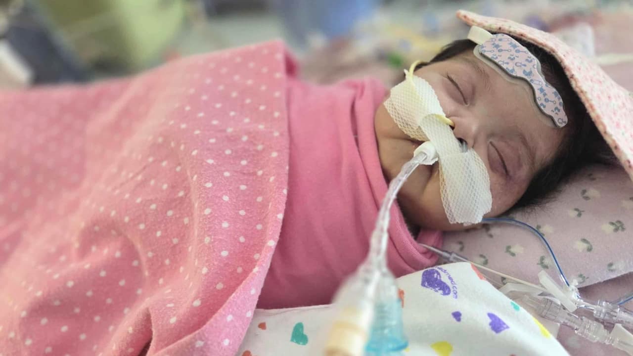 <h3 class="cms-H3-H3">La fuerza de un diagnóstico prenatal </h3>Gracias a la detección temprana,
<b>el equipo médico organizó un plan antes del nacimiento.</b>
<br>Cuando Sarah llegó al mundo el 9 de abril, pesando unas 5.5 libras, dos kilos y medio,
<b> el cuarto ya estaba lleno de especialistas listos para intervenir.</b>
<br>“He escuchado casos de mamás que no saben hasta después de un ataque al corazón. Para nosotros
<b>fue una ventaja muy grande que la diagnosticaran a tiempo</b>”, explica Liliana.
<br>Tras el parto,
<b>el equipo confirmó la gravedad</b>.
<br>La doctora Nathanya Báez Hernández, cardióloga pediatra en Children’s Health y profesora en UT Southwestern Medical Center, explica: “El ecocardiograma demuestra que la niña tiene un problema letal.
<b>No es severo, es letal</b>”.
<br>La espera podía extenderse
<b>entre 6 y 12 meses por la escasez de órganos del tamaño necesario.</b>