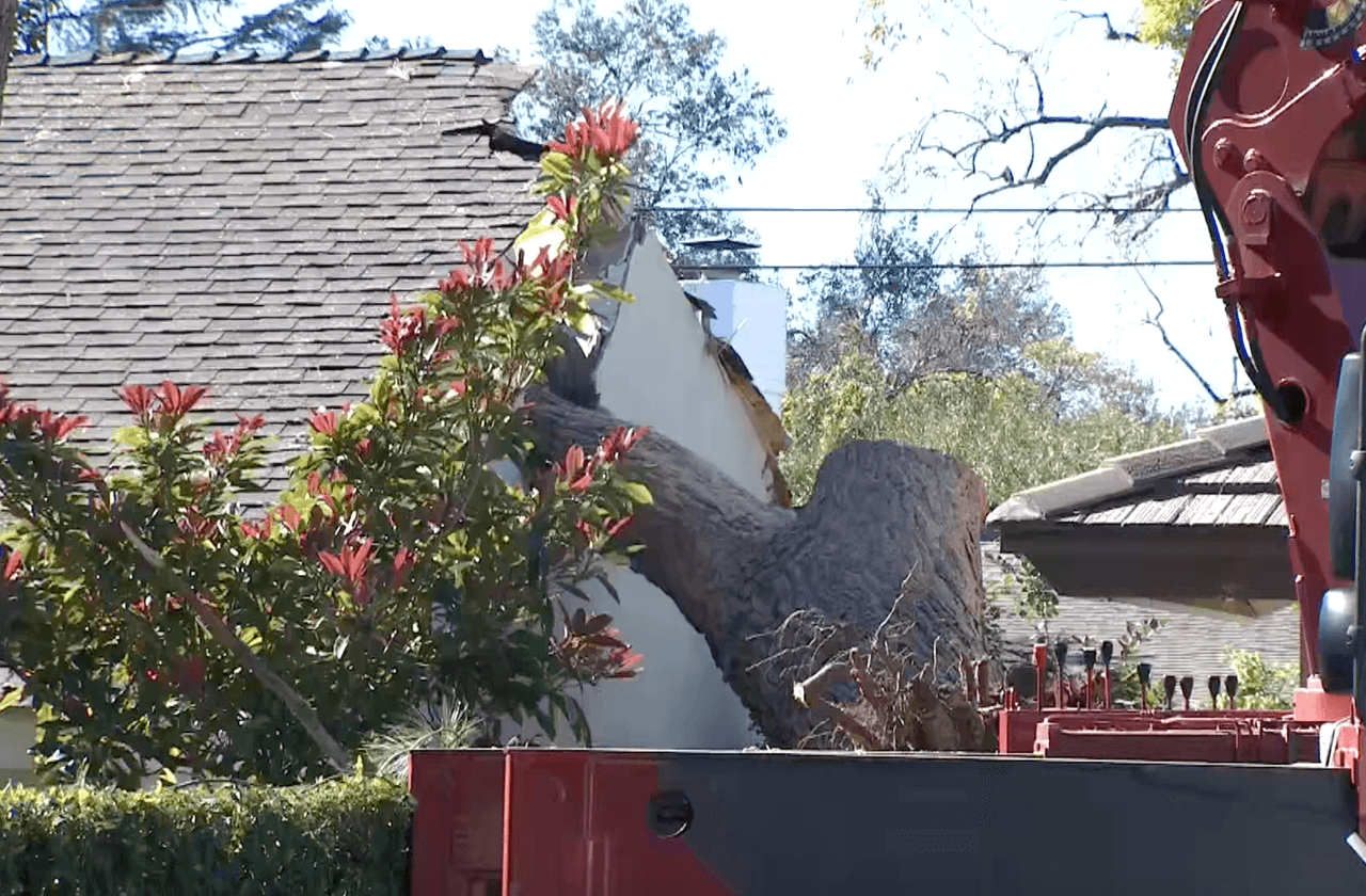 Hasta este domingo, todavía hay cuadrillas trabajando en la limpieza de calles, remoción de árboles y tratando de restaurar el servicio eléctrico.