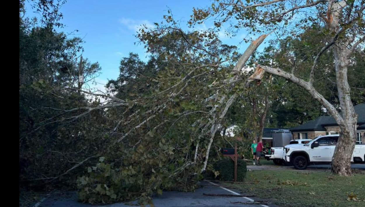 En el noroeste de Florida, una mujer murió después de que un árbol cayera sobre su vivienda, confirmó el sheriff del condado de Escambia, quien también informó la muerte de un hombre por intoxicación con monóxido de carbono y varias personas hospitalizadas.