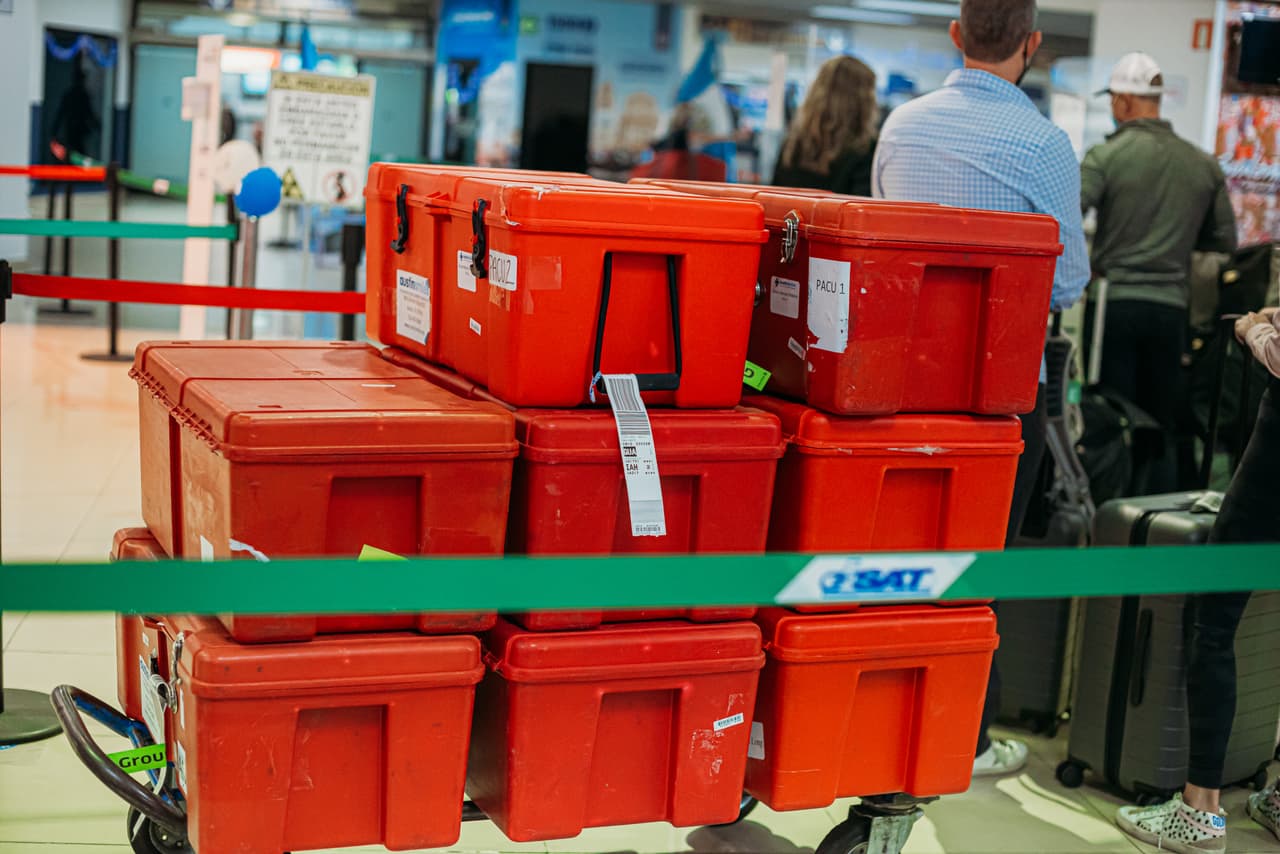 El equipo está programado para realizar alrededor de 40 cirugías.