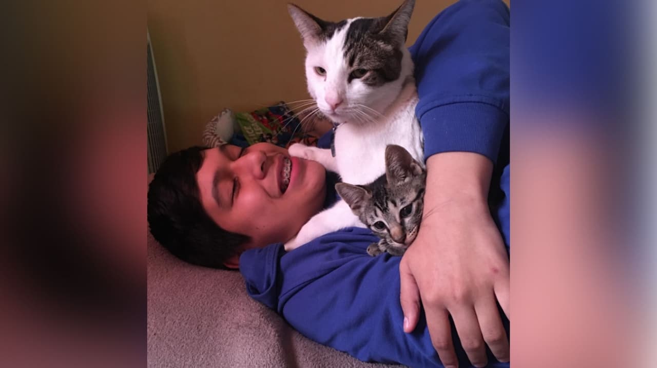 Jacqueline Pariona nos manda la foto de sus tres "bebés": Joaquín, su hijo, y sus gatos Remmy y Queen Bella.