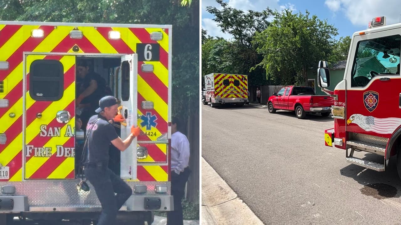 Otro ataque de abejas: un adulto mayor queda herido por los insectos al norte de San Antonio