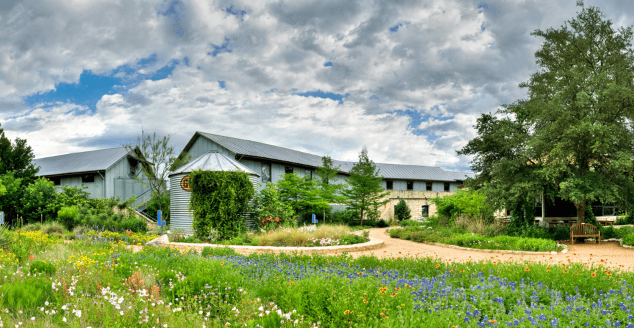 <b>Centro de Flores Silvestres Lady Bird </b>
<br>Este centro fue fundado por la ex Primera Dama, Lady Bird Johnson y la actriz Helen Hayes en 1982. Es el Jardín Botánico Estatal y Arboretum de Texas y promueve la misión de inspirar la conservación de plantas nativas a través de sus jardines sostenibles, programas de educación y divulgación, proyectos de investigación y trabajo de consultoría.
