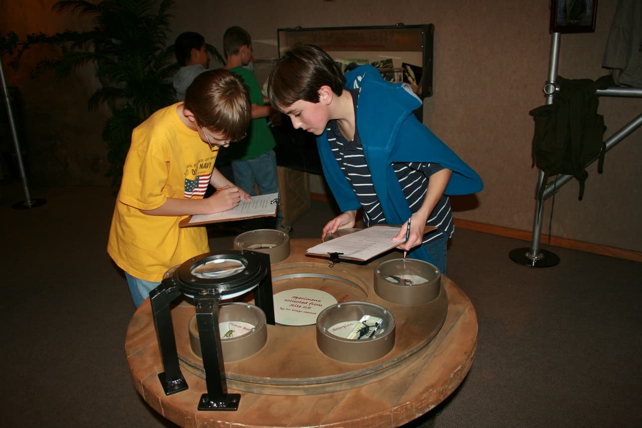 Tendrán que resolver la misteriosa desaparición de un grupo de arqueólogos en Palenque, México, quienes estaban investigando y buscando un medallón de jade de valor incalculable. Afortunadamente, en su prisa por escapar, el equipo logró dejar un video con pistas y una advertencia para todos los que llegaban a buscarlos.