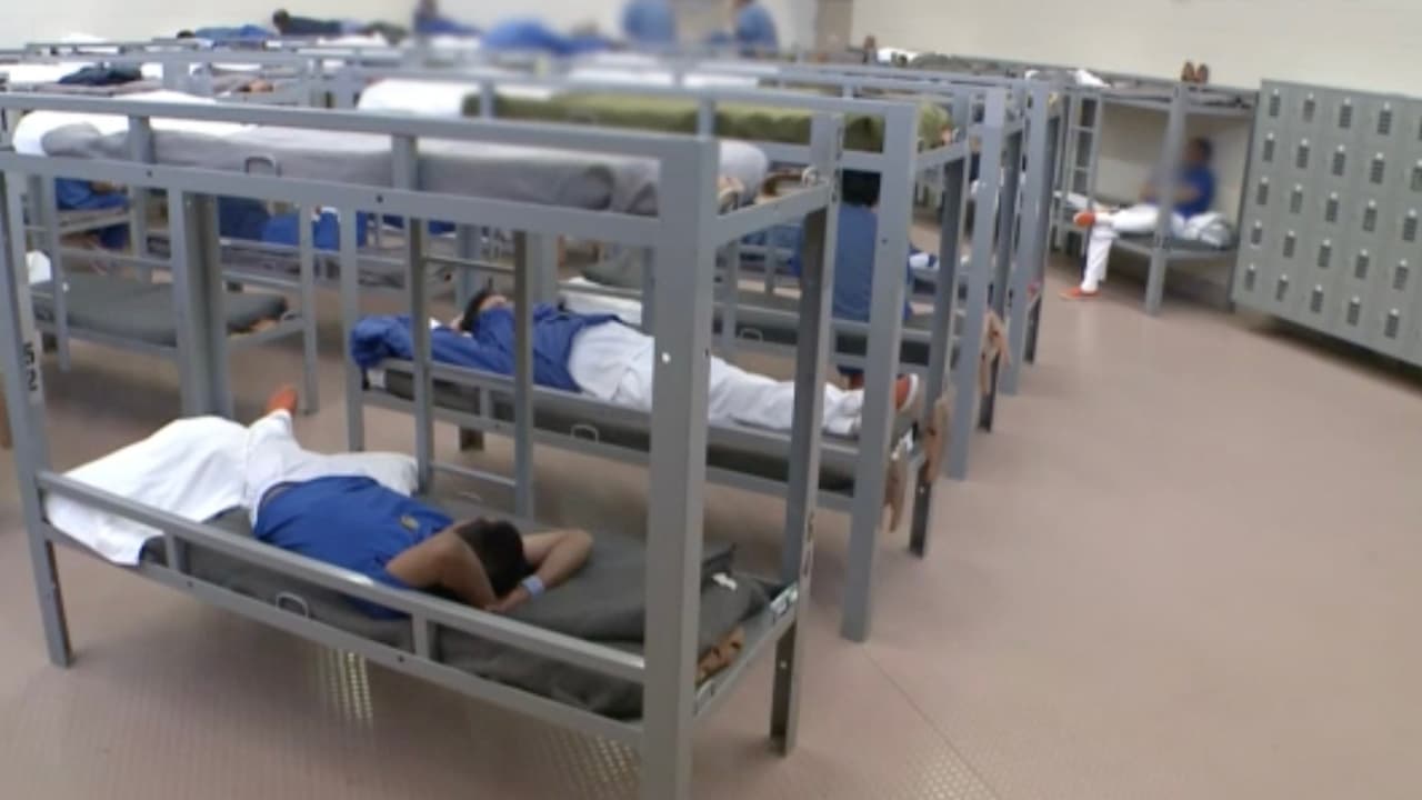 Tan solo en Houston existen 61 casas de préstamos para fianzas para que las personas puedan salir de la cárcel.