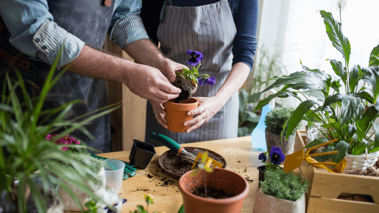Mejora tu jardín con estos 10 artículos y herramientas básicas para principiantes de jardinería