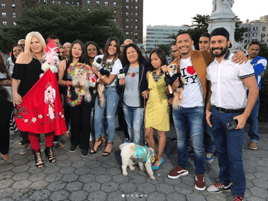 En Despierta América le dimos la bienvenida a este miércoles con un desfile de moda canina.