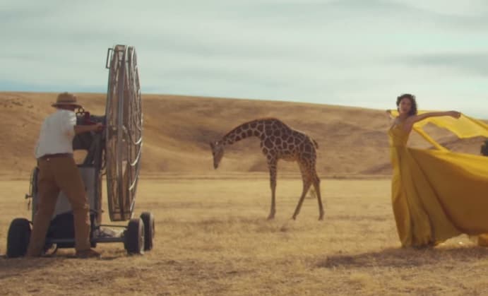 Rutabingwa agregó: "La música de Swift entretiene a mucha gente. Ella puede usar cualquier locación que se le ocurra, pero de alguna manera se las arregló para usar nuestro continente para sus canciones románticas sin la presencia de una sola persona de la región en el guión".