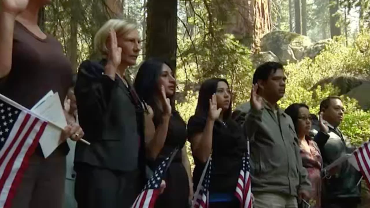 Le preguntamos al abogado de inmigración cuáles son los principales errores de las personas que quieren ser ciudadanas. González respondió que el no declarar impuestos o incluir como dependientes a quienes no debe, son de los errores más comunes que comenten los inmigrantes.