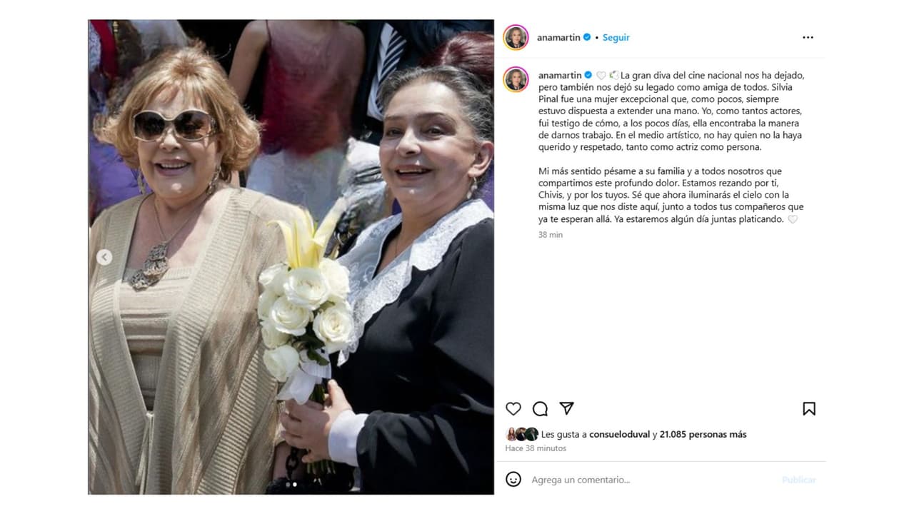 Ana Martín se despidió así de su amiga.