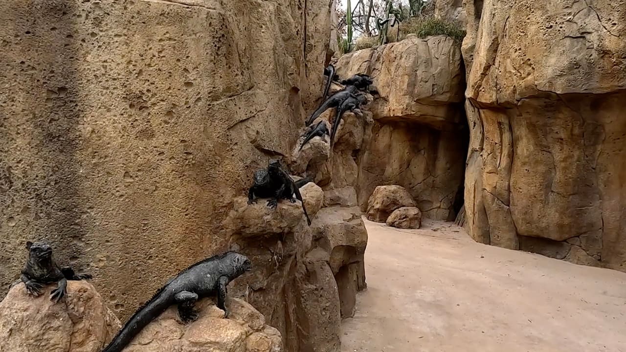 El zoológico asegura que no hay otro lugar en el mundo que recrea a las Islas Galápagos, ubicadas en Ecuador.