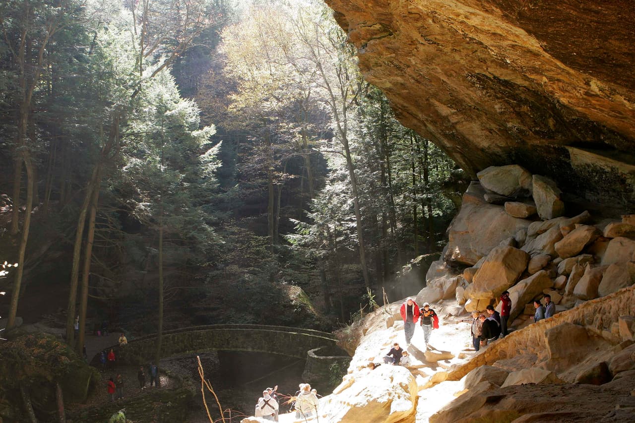 Una mujer murió en un parque al caerle un tronco en la cabeza, la policía investigó y resulta que no fue un accidente