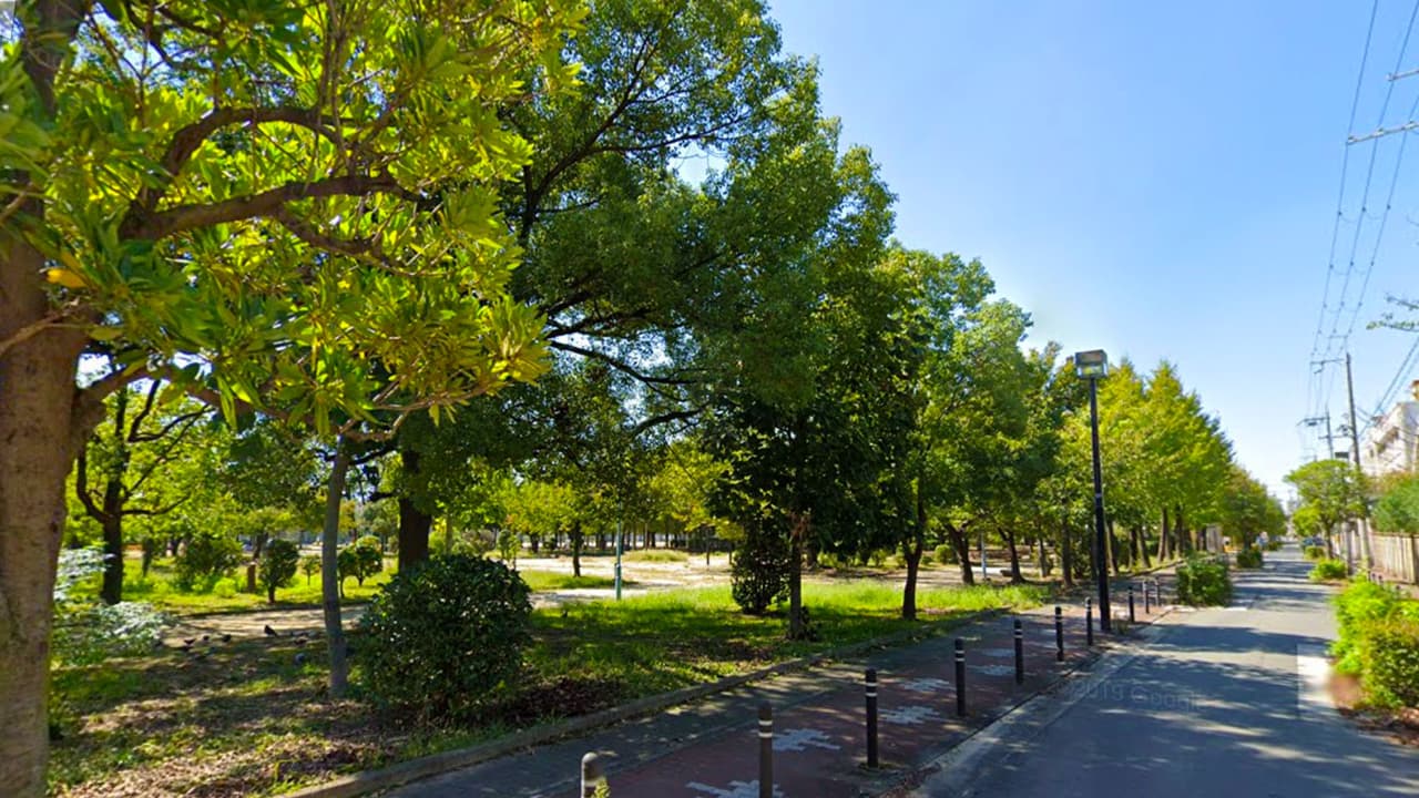 7. Japón nunca dejará de sorprendernos y deleitarnos tal es el caso de los tesoros culturales de la región de Kanto donde se encuentra el bosque de Aokigahara que poéticamente significa "Mar de árboles”. Ahí mucha gente acostumbra a dar tranquilos paseos en bicicleta o simplemente degustar de una cena. También podemos disfrutar de una fogata en Hoshinoya Fuji, con vistas al lago Kawaguchi con la icónica montaña que remarca el paisaje.