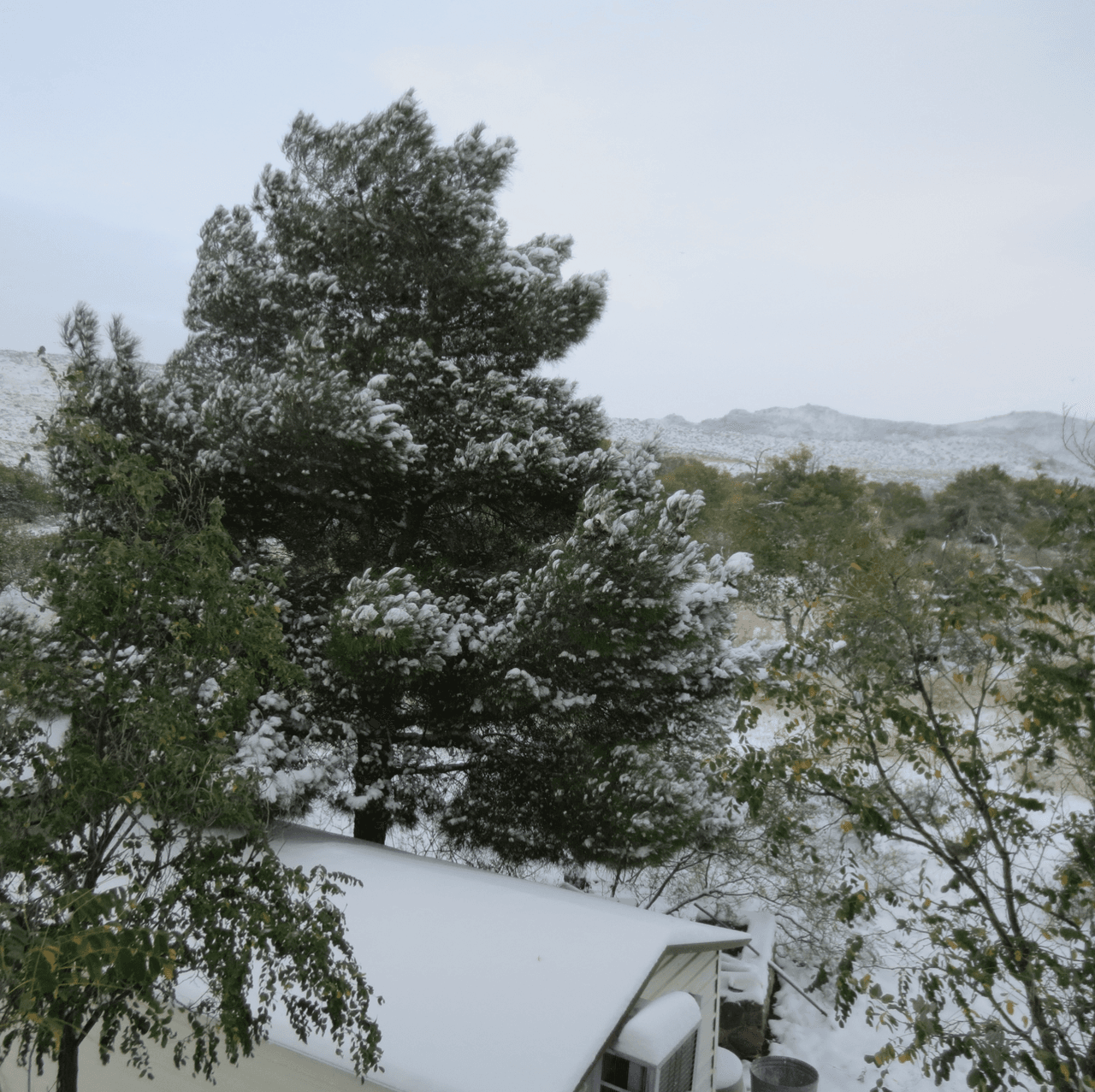 El Servicio Nacional de Meteorología (NWS, por sus siglas en inglés) recomendó a que tantos las personas se mantengan dentro de sus hogares y que junto a ellos resguarden a las mascotas.